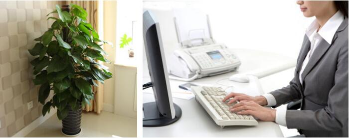 QQ截圖20200730153002.jpg QQ截圖20200730153002.jpg